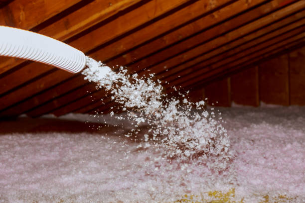 Best Insulation Removal  in Westhampton, NY
